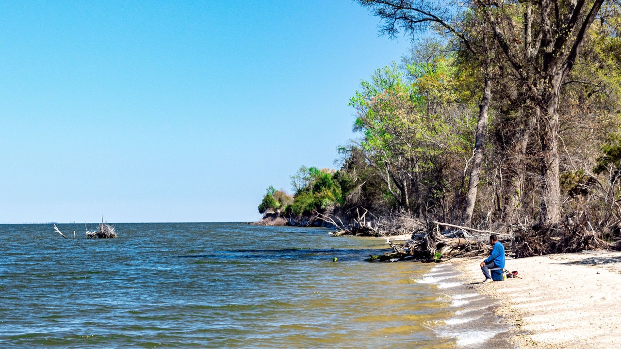 Photo of Others in Colonial Beach