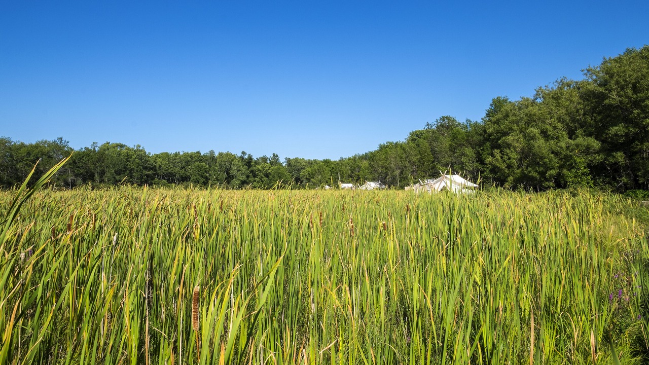 Photo of Outdoor in North River