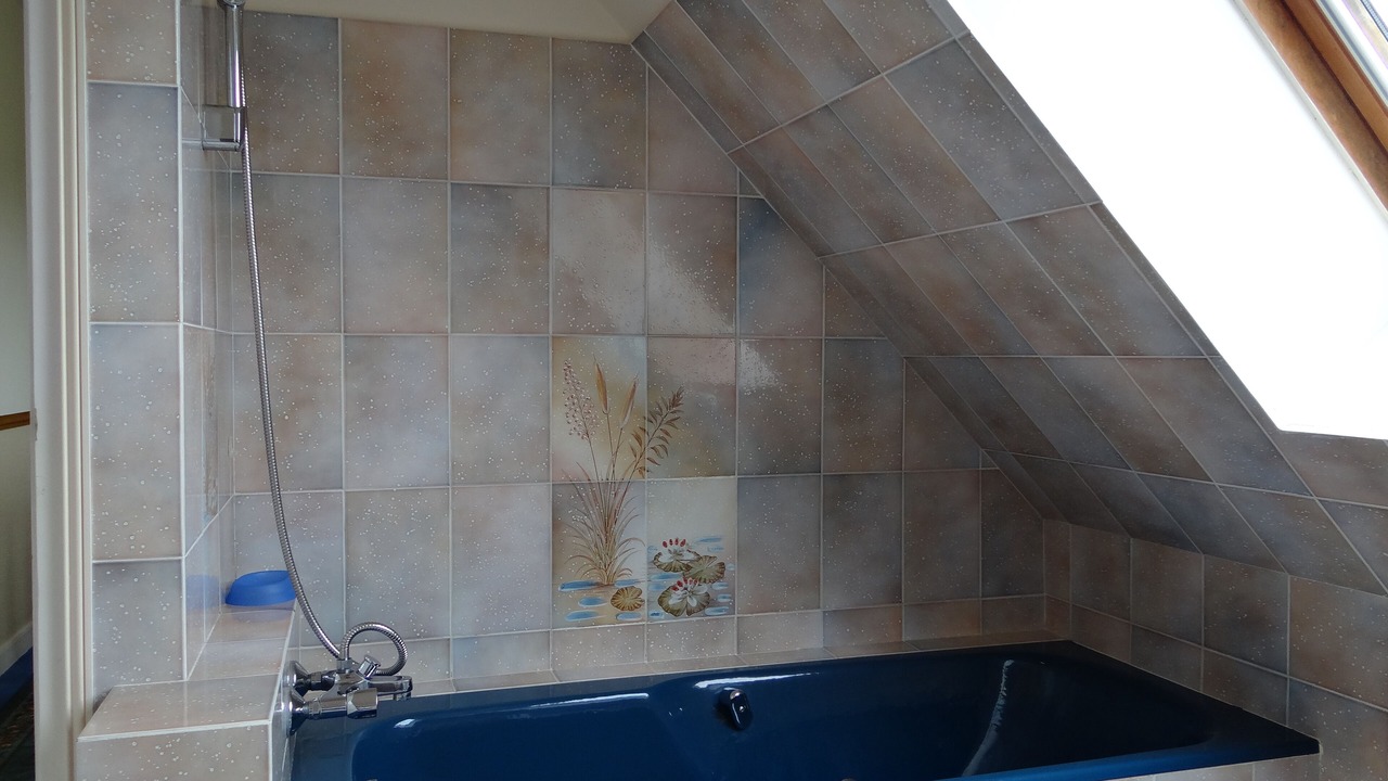 Photo of Bathroom in Tregunc