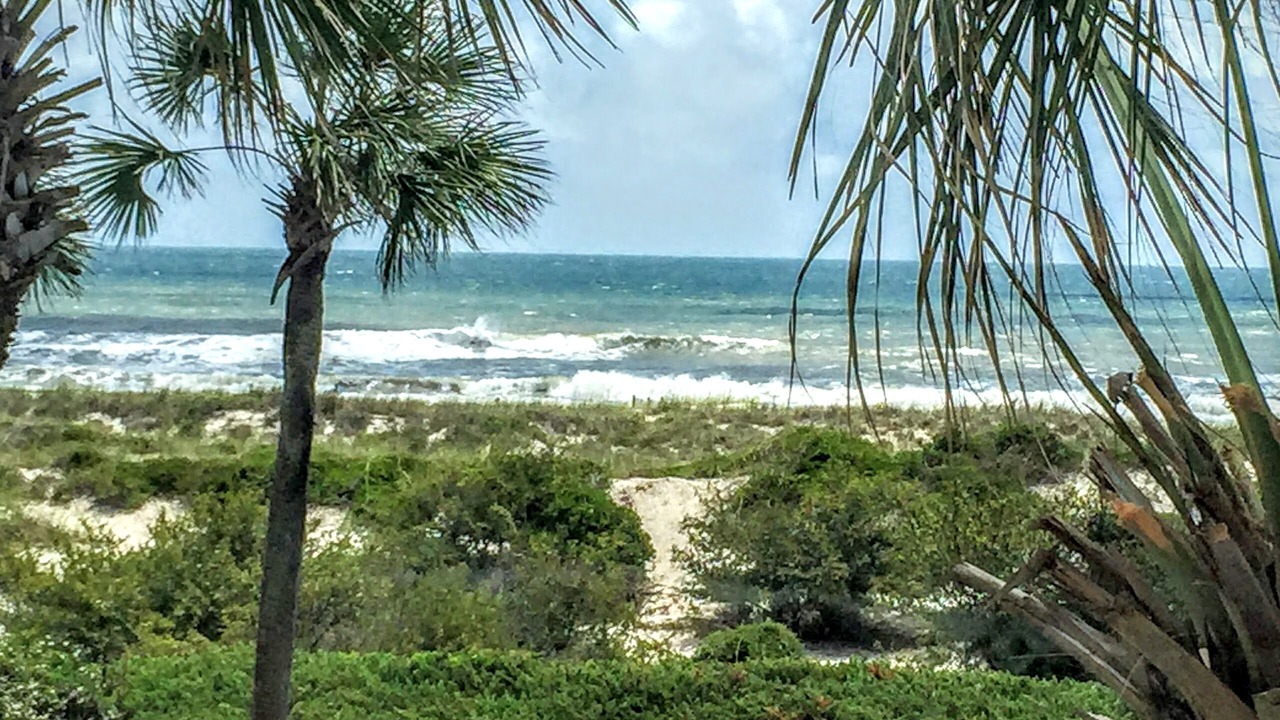 Photo of Others in Amelia City