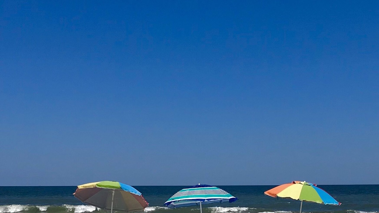 Photo of Others in Amelia City