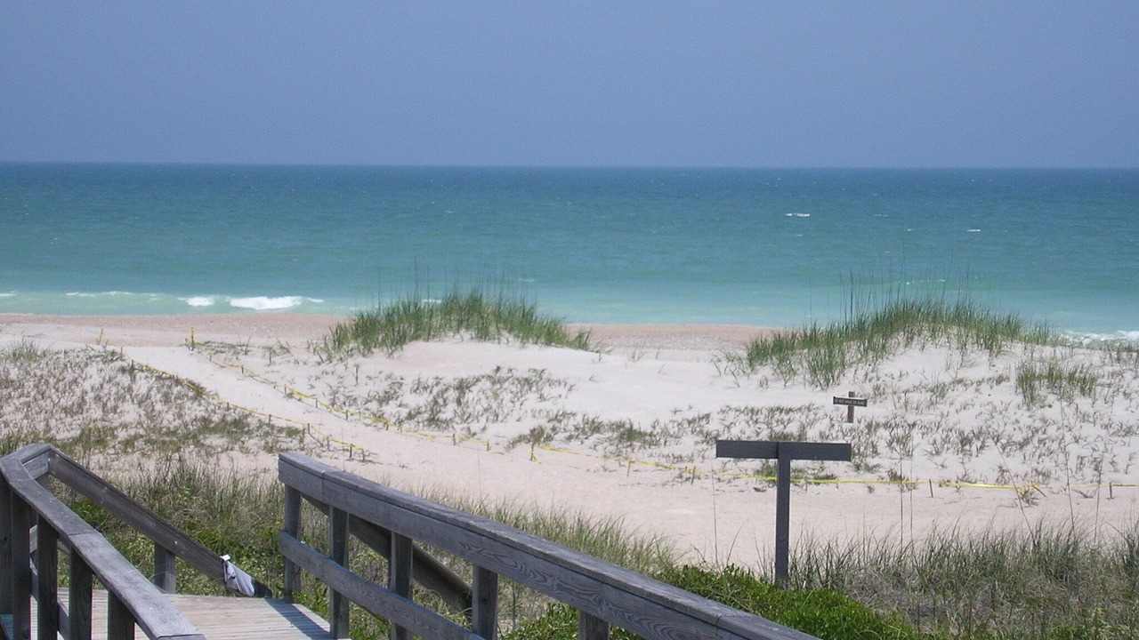 Photo of Others in Amelia City