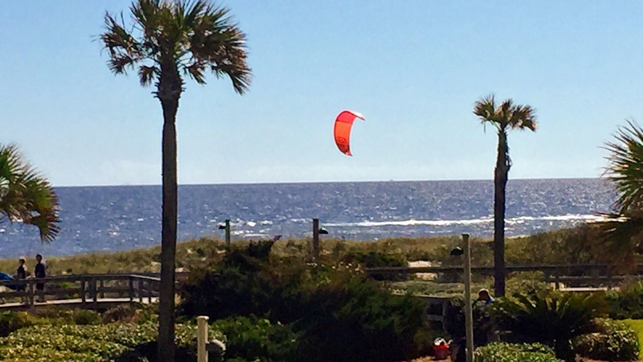 Photo of Others in Amelia City