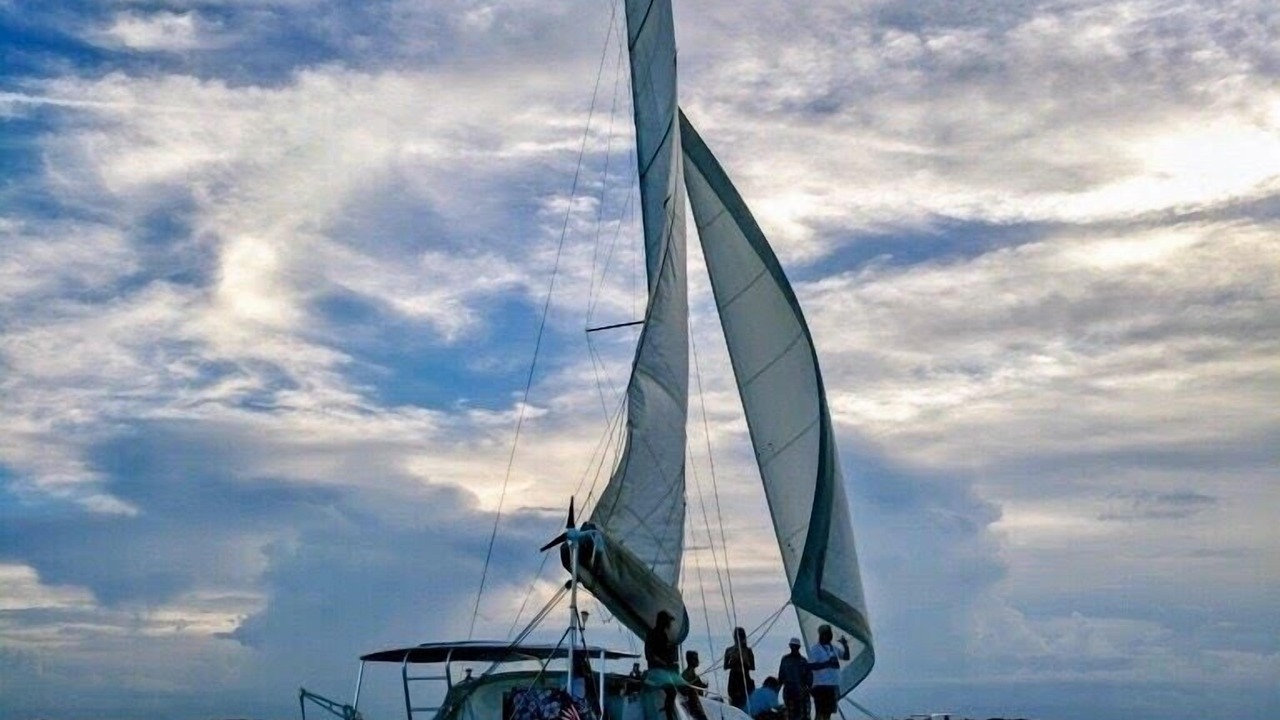 Photo of Others in Amelia City