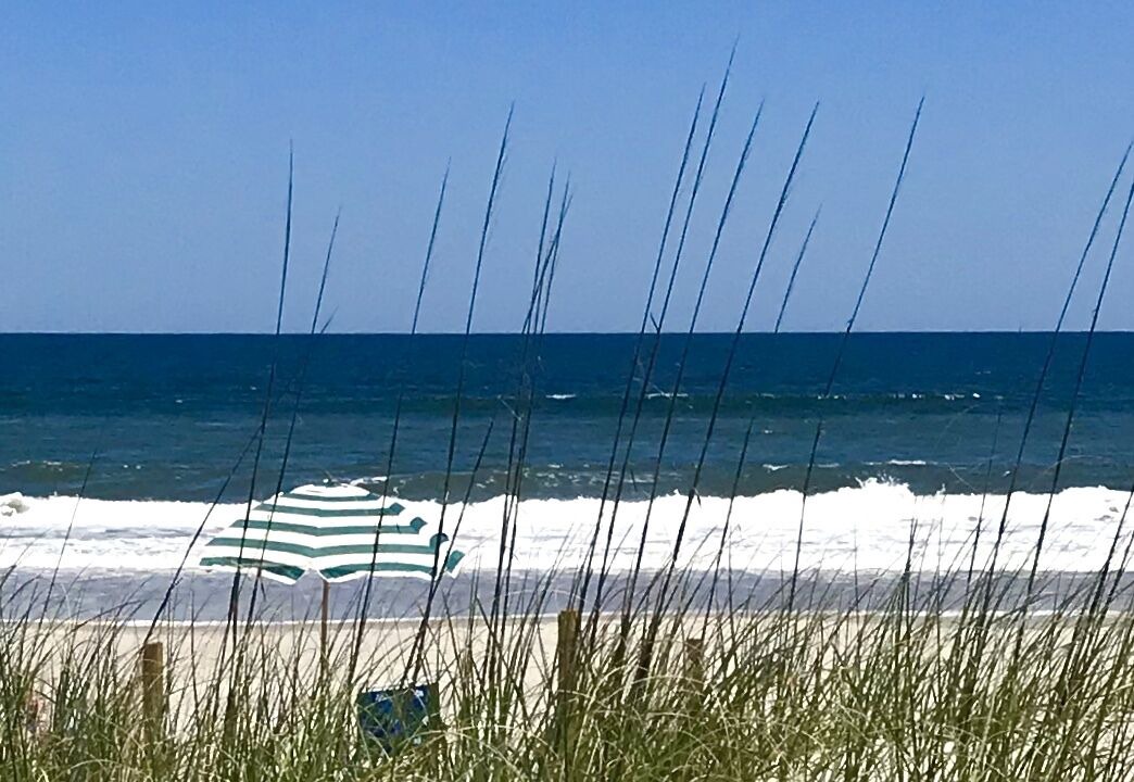 Photo of Others in Amelia City