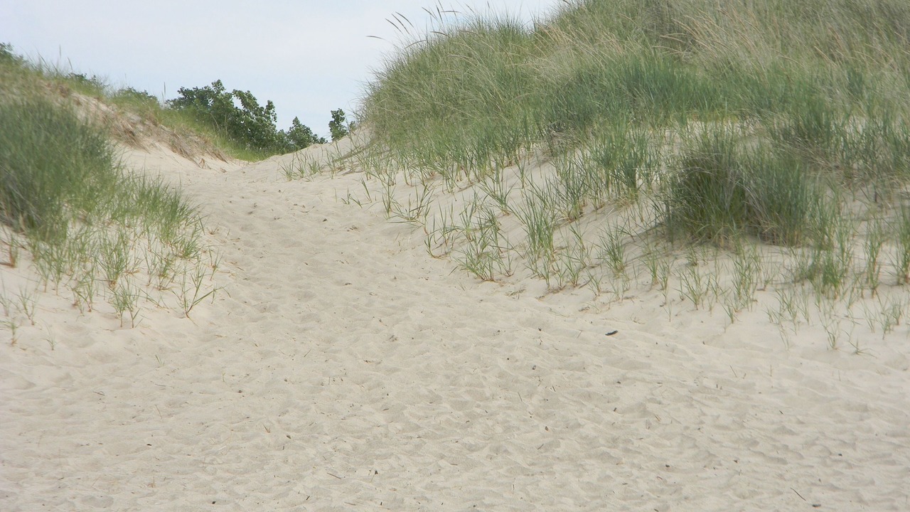 Photo of Others in Michigan City