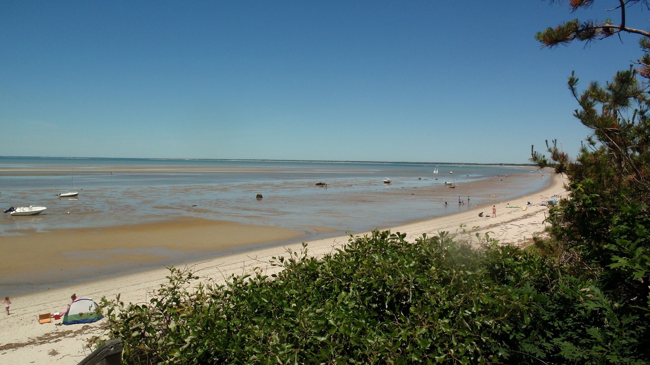 Photo of Others in Brewster