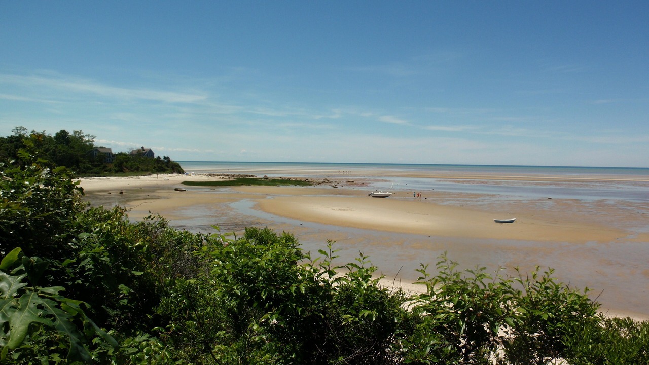 Photo of Others in Brewster