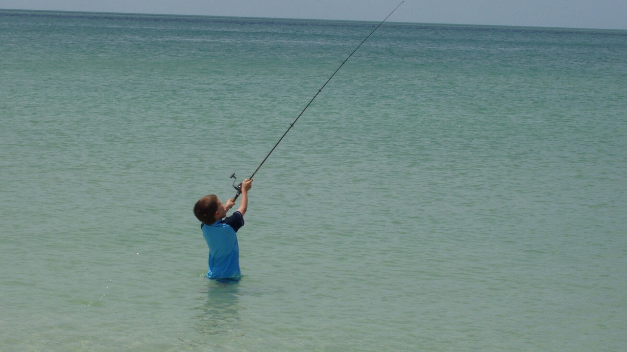 Photo of Others in Brewster