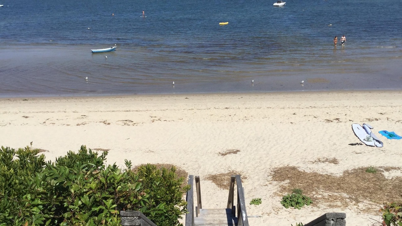 Photo of Others in Brewster