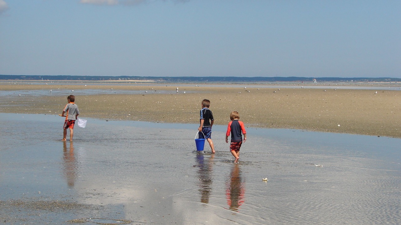 Photo of Others in Brewster