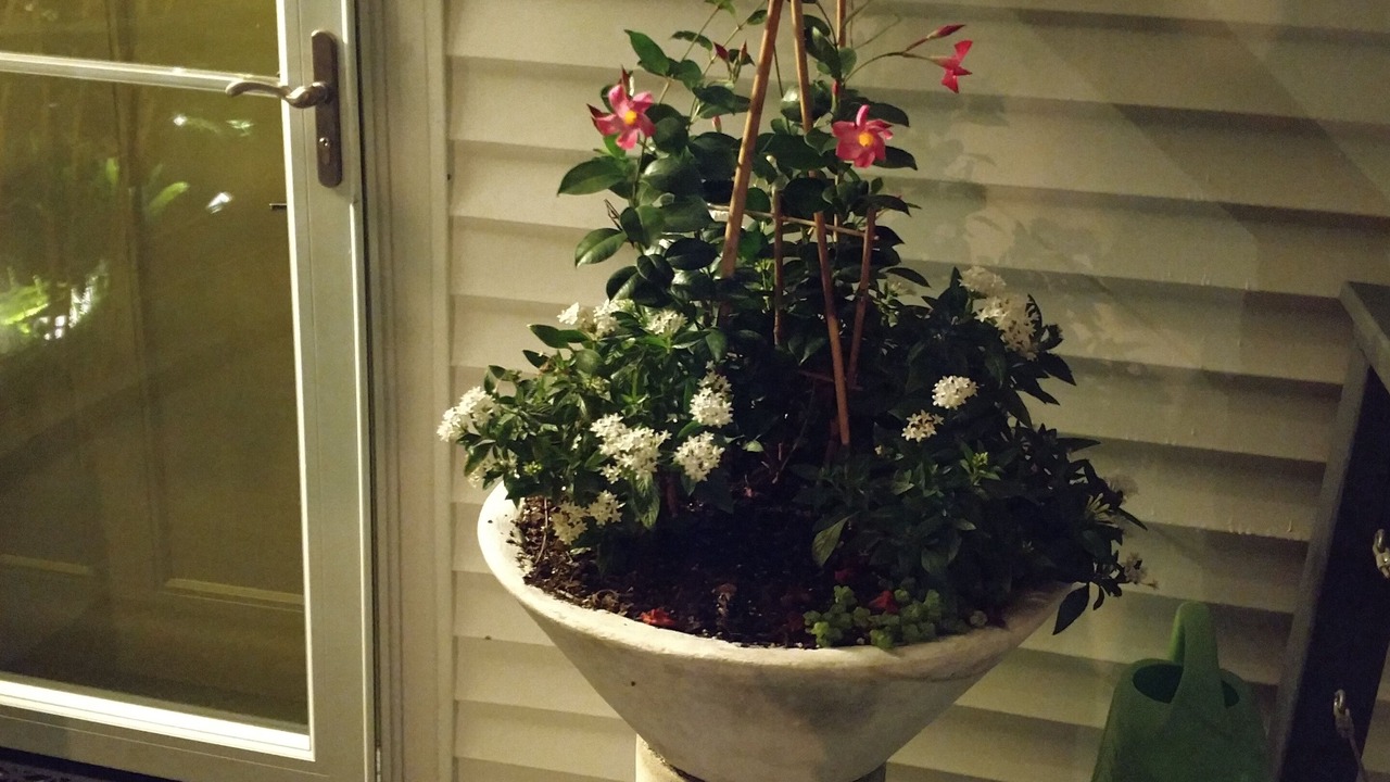 Photo of Outdoor in Bokeelia