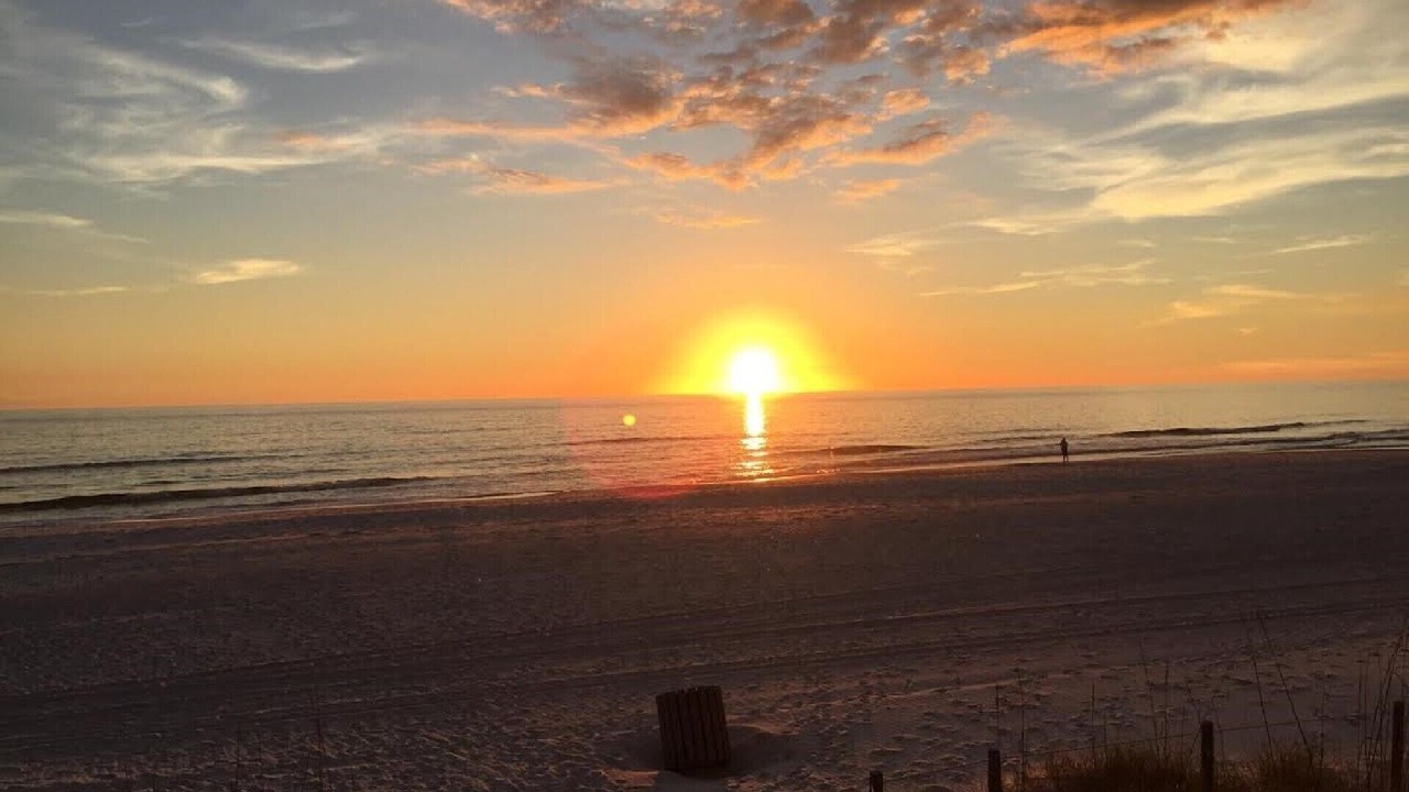 Photo of Others in Biltmore Beach