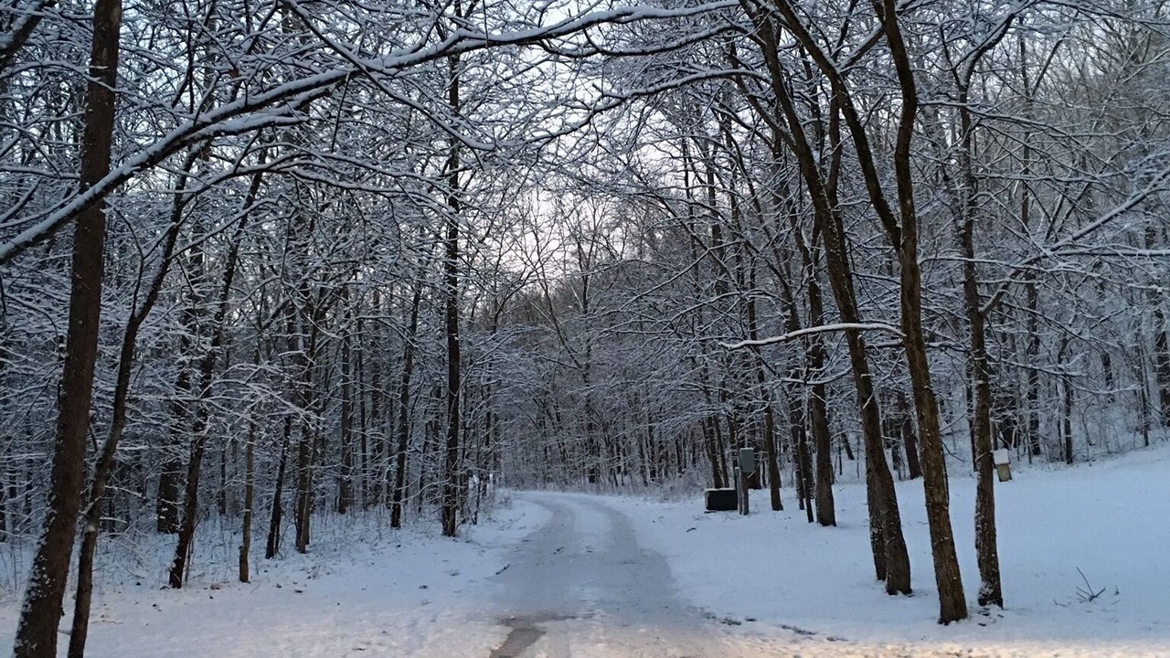 Photo of Others in Metamora