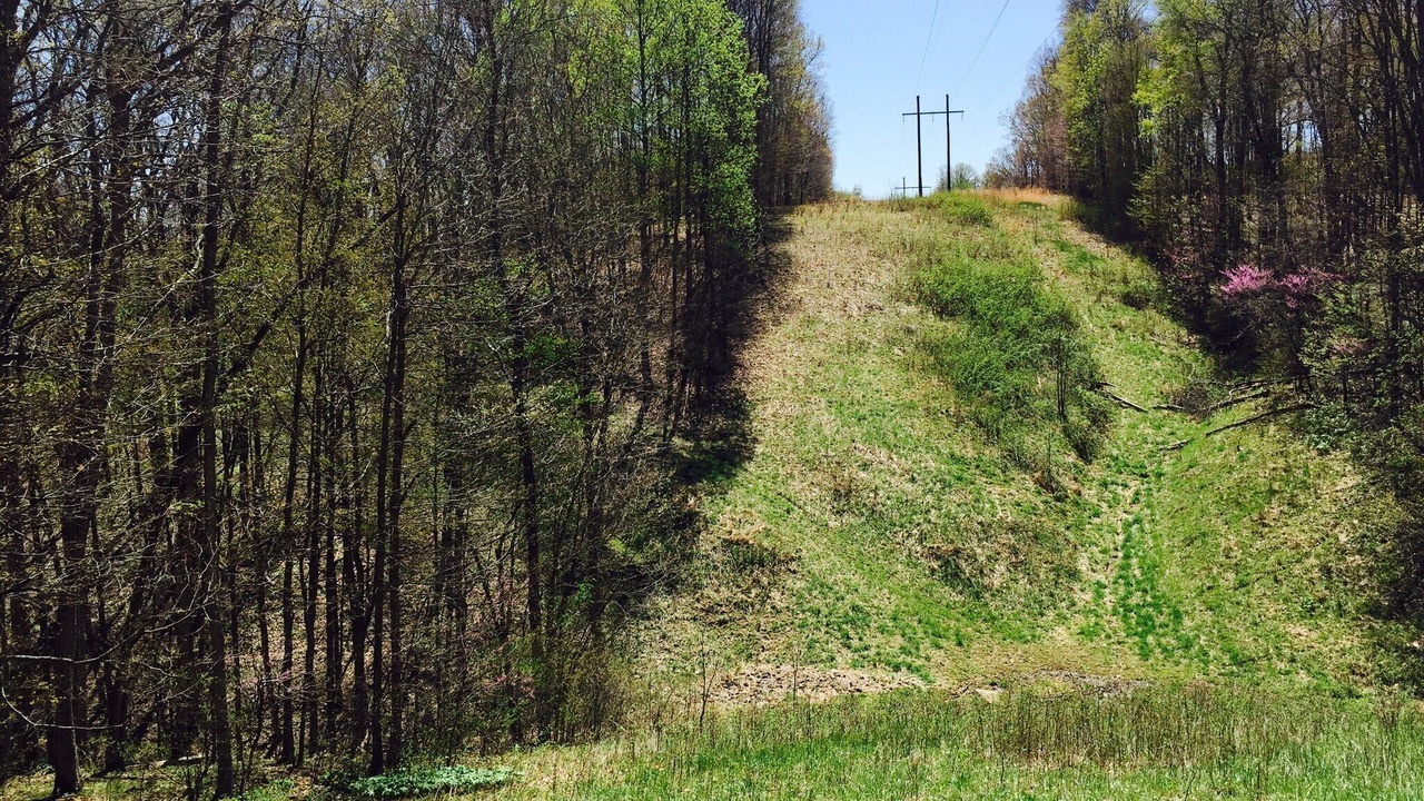 Photo of Others in Metamora