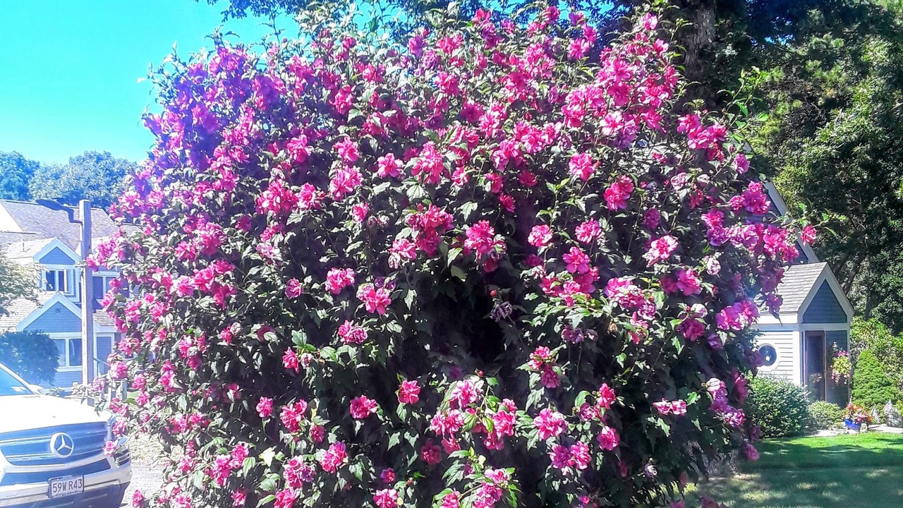 Photo of Outdoor in Brewster