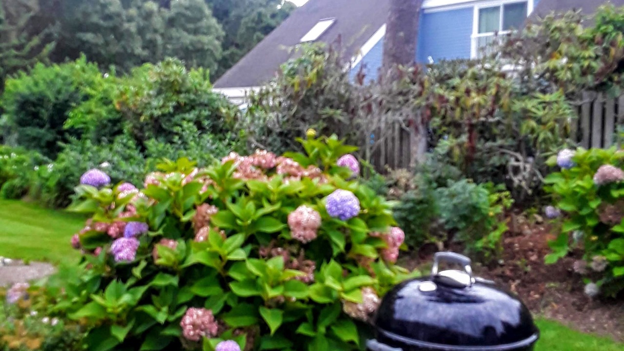 Photo of Outdoor in Brewster