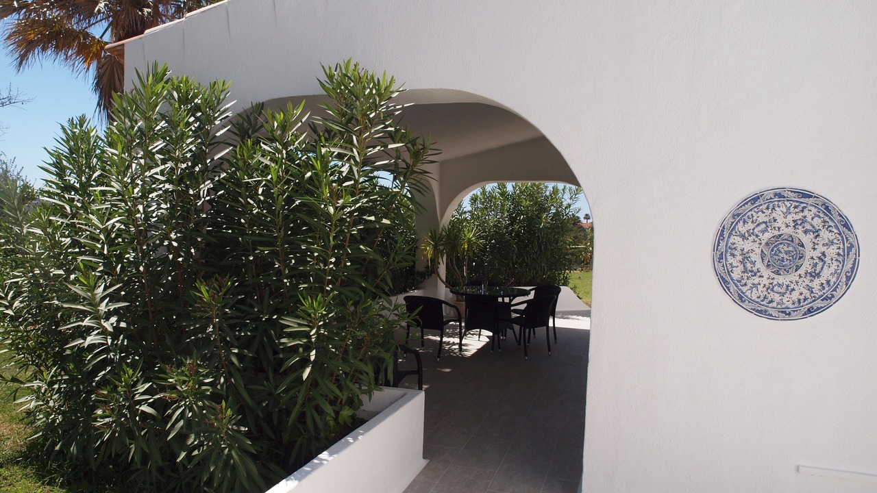 Photo of Outdoor in Mato Serrao