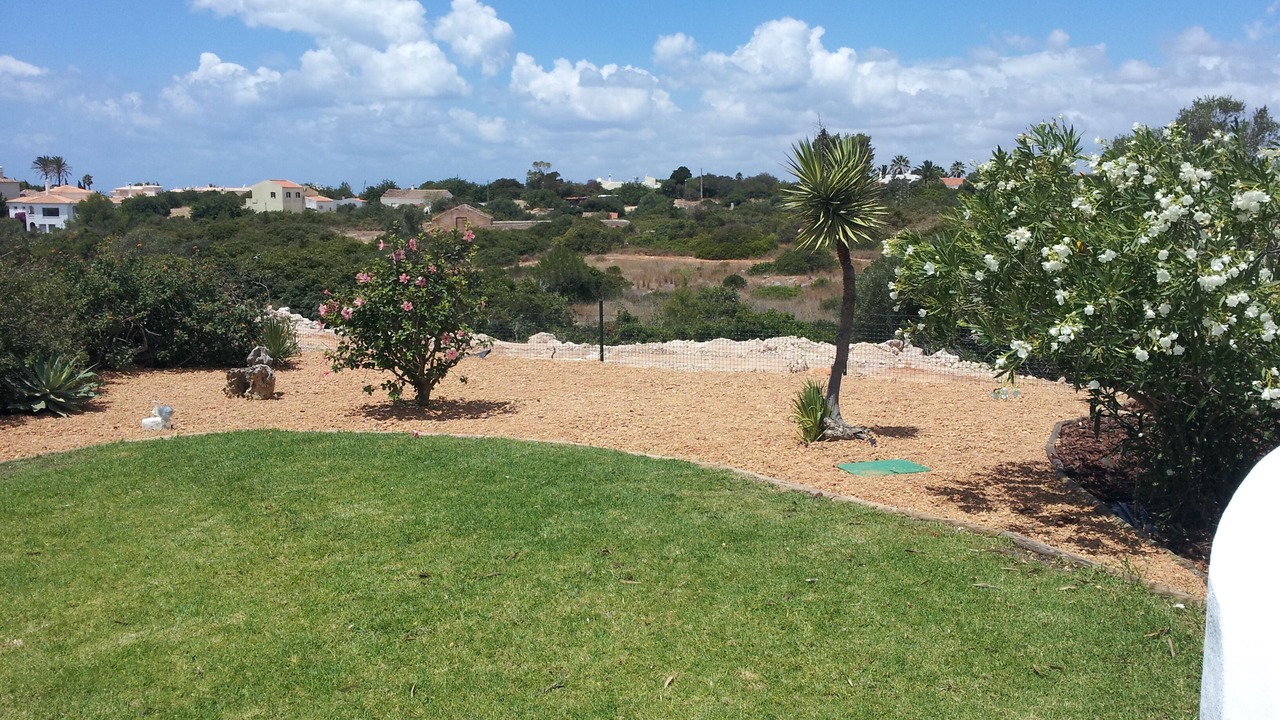 Photo of Outdoor in Mato Serrao