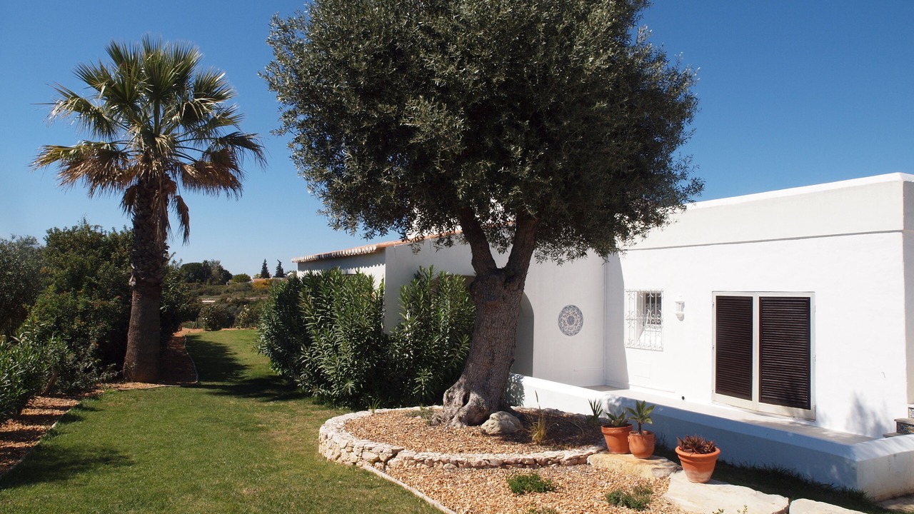 Photo of Outdoor in Mato Serrao
