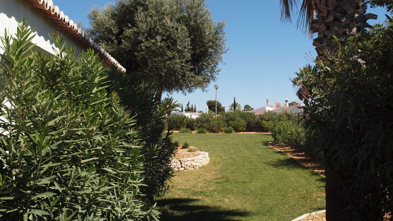 Photo of Outdoor in Mato Serrao