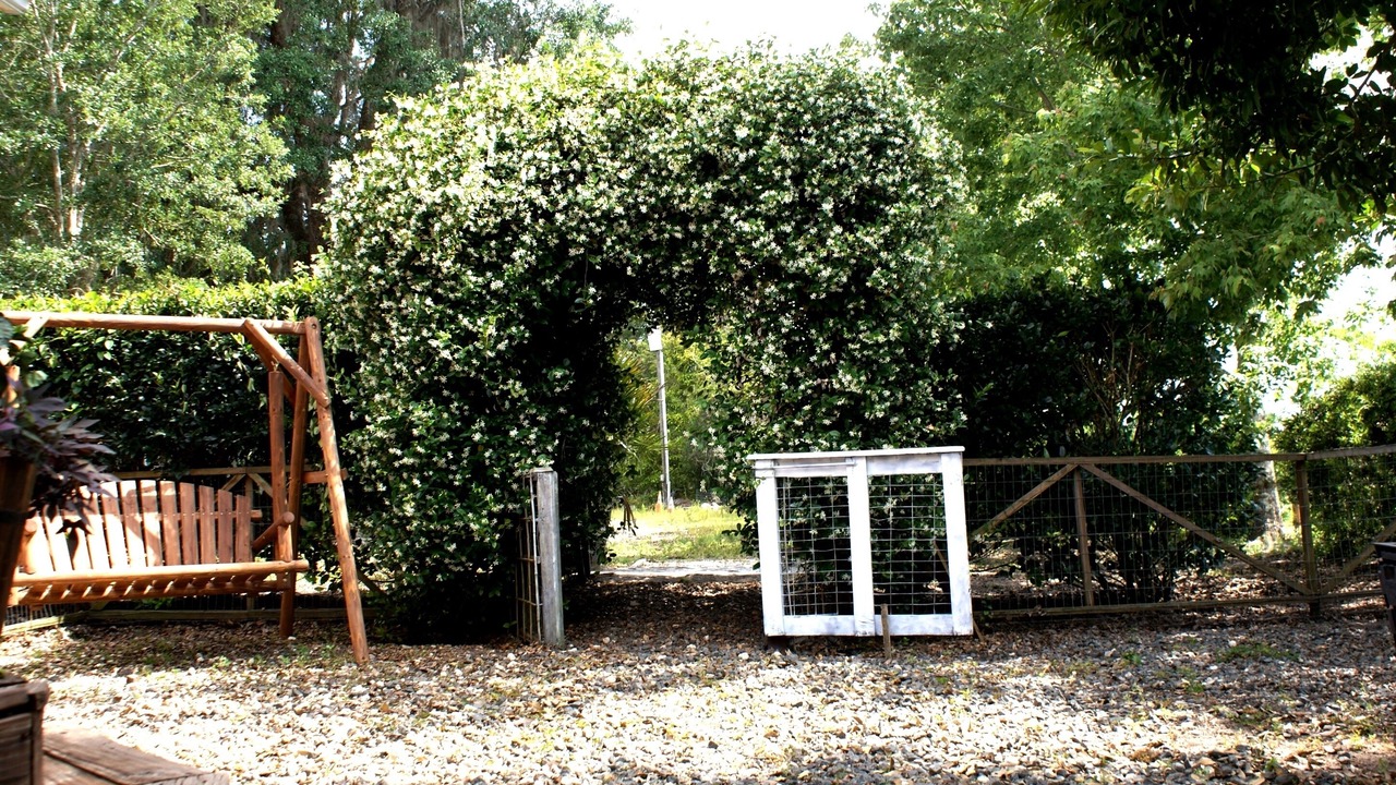 Photo of Outdoor in Brooksville