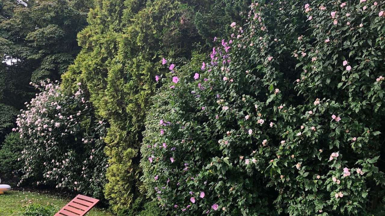 Photo of Outdoor in Remsenburg