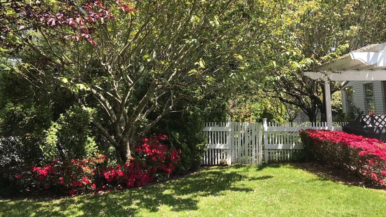 Photo of Outdoor in Remsenburg