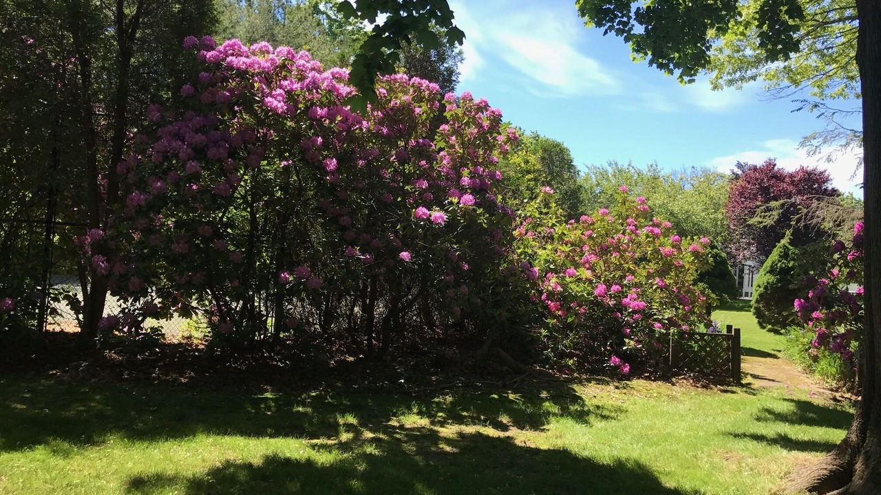 Photo of Outdoor in Remsenburg