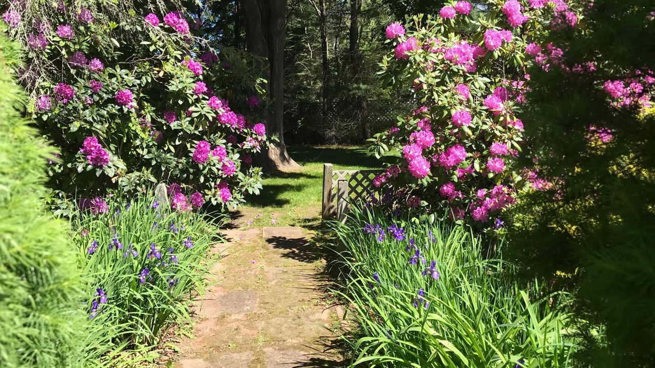 Photo of Outdoor in Remsenburg