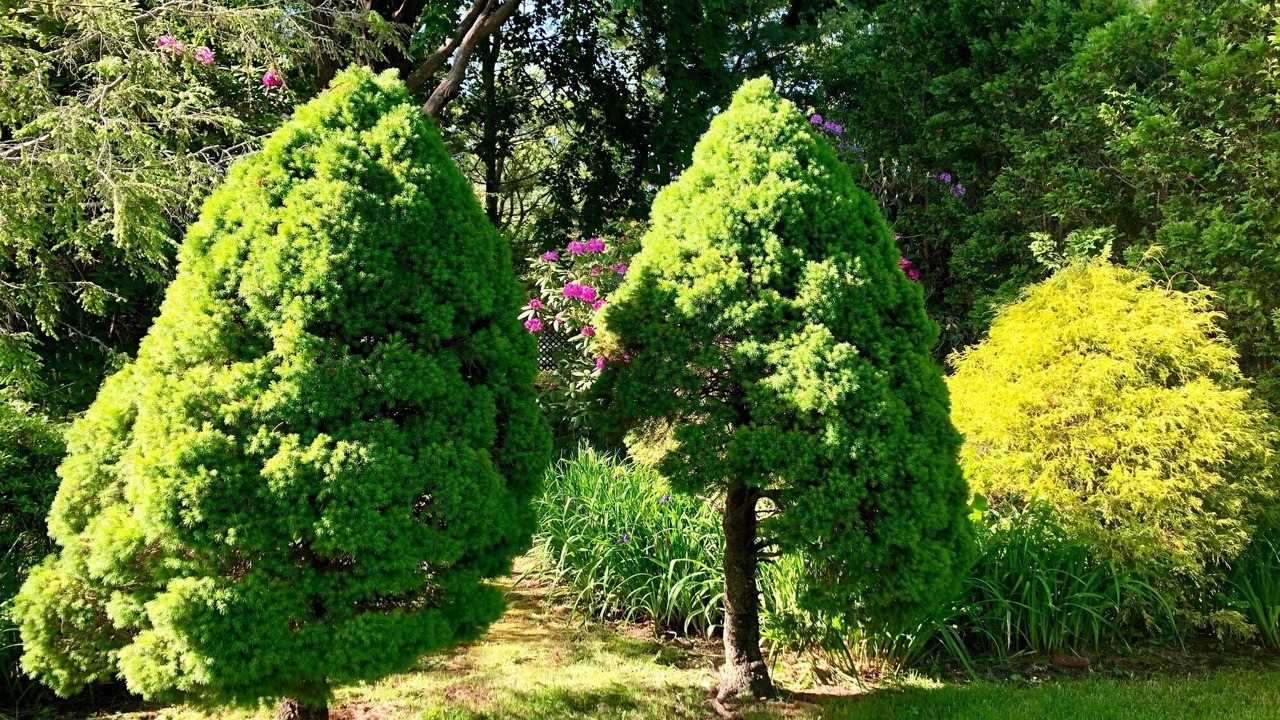Photo of Outdoor in Remsenburg