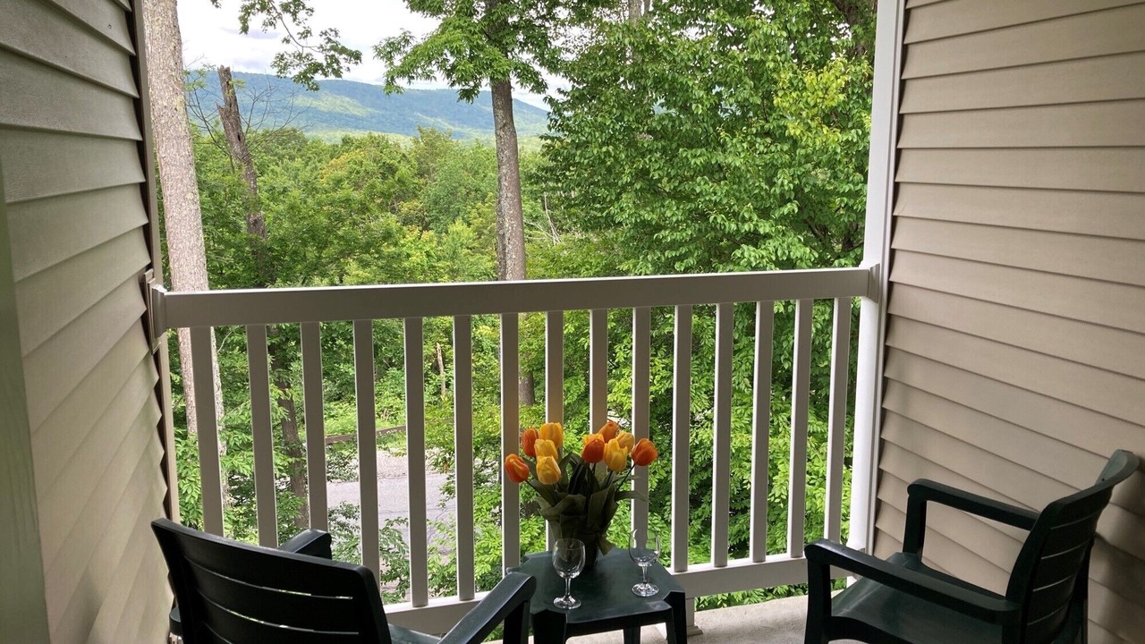 Photo of Patio Balcony in Hancock