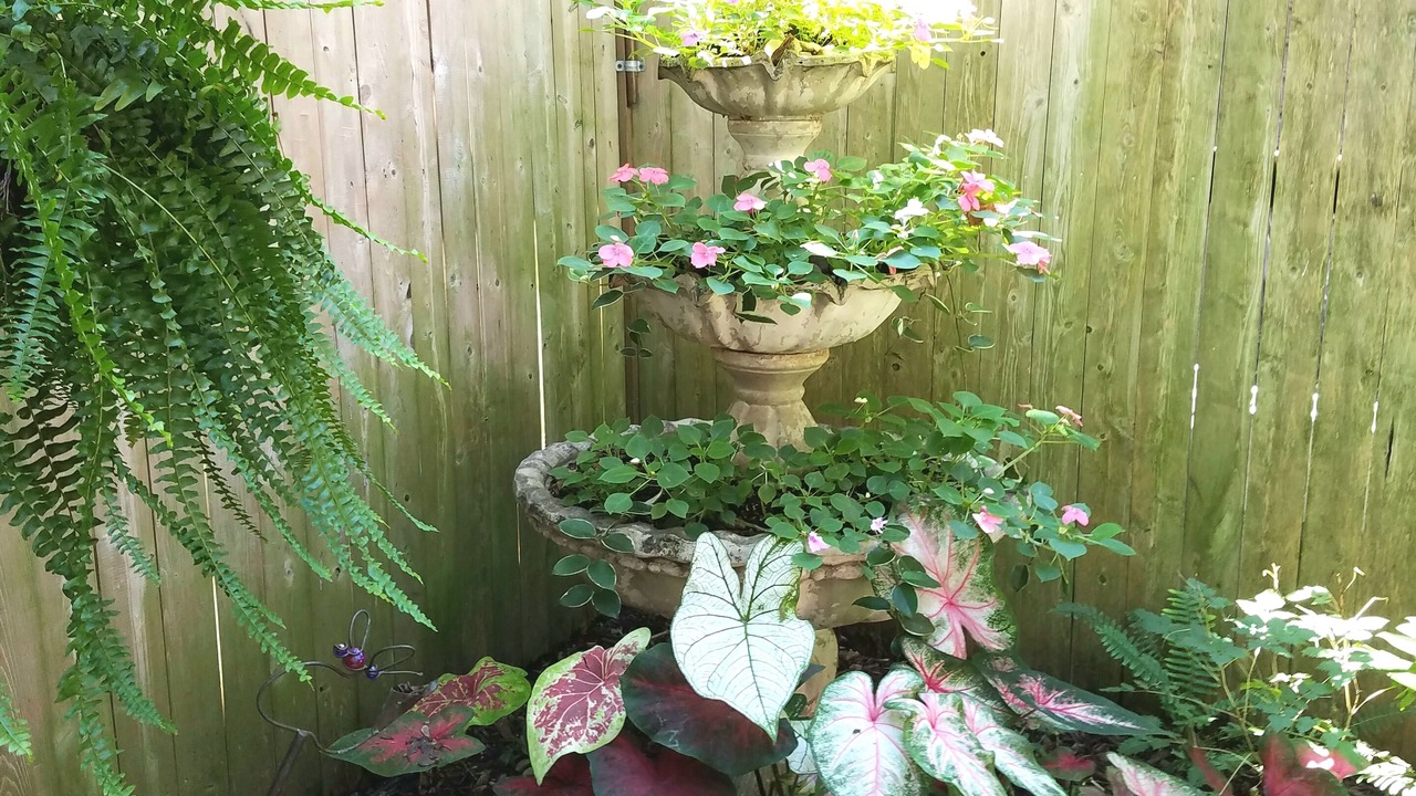 Photo of Outdoor in Columbus
