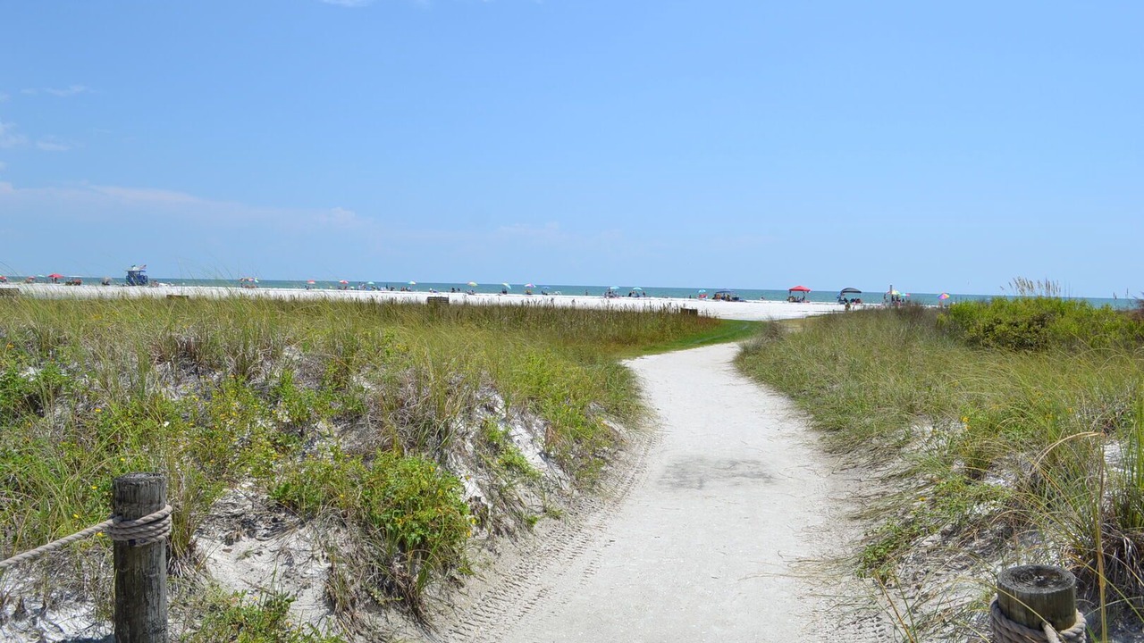 Photo of Others in Siesta Key