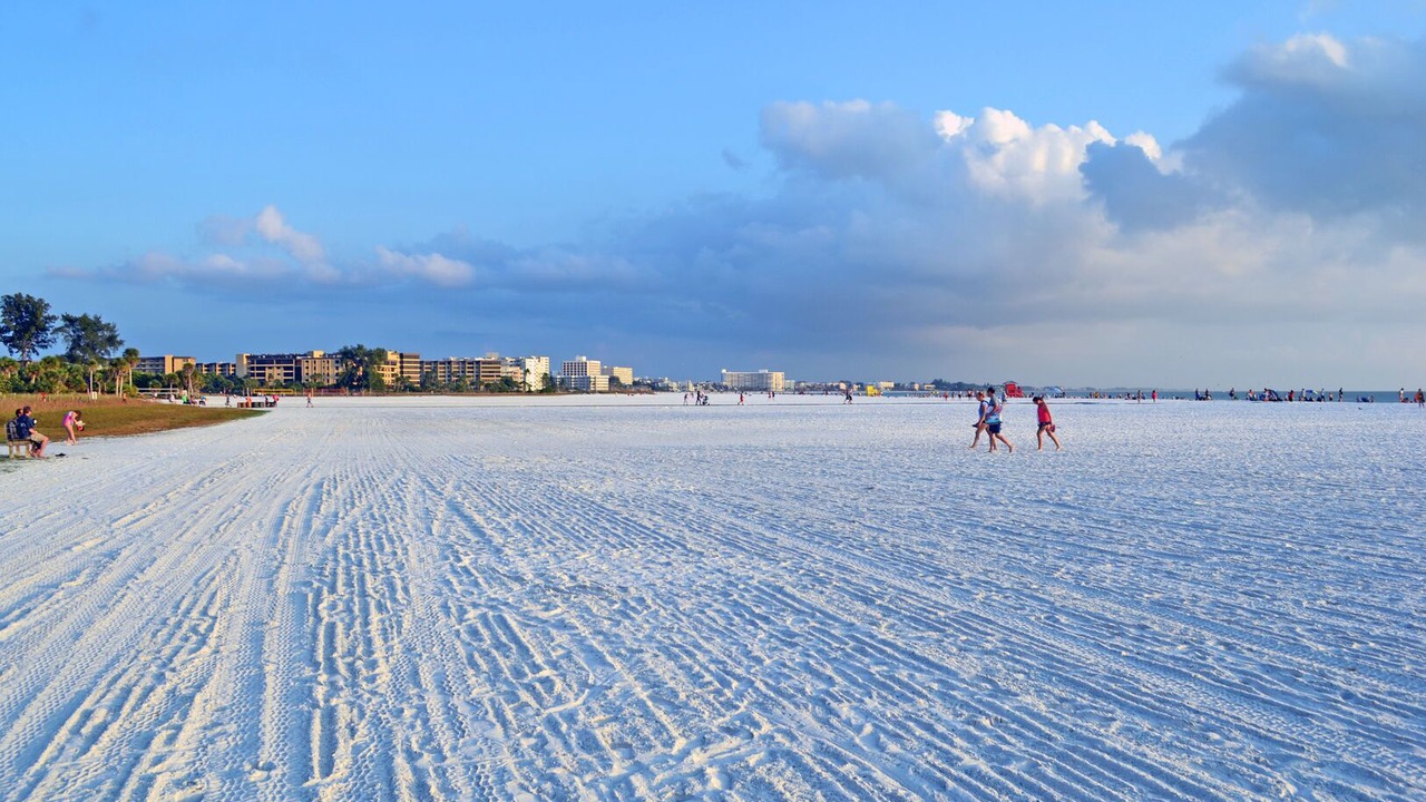 Photo of Others in Siesta Key