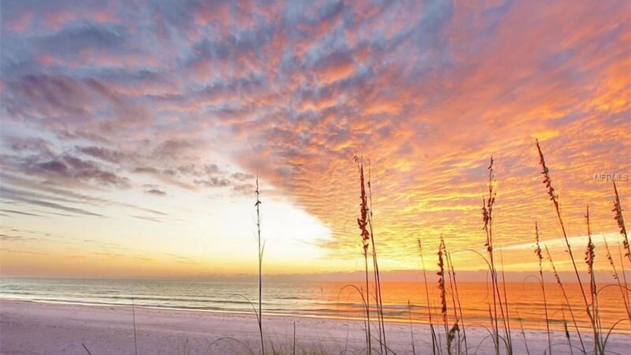 Photo of Others in Siesta Key