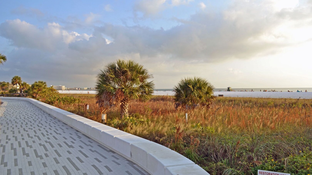 Photo of Outdoor in Siesta Key