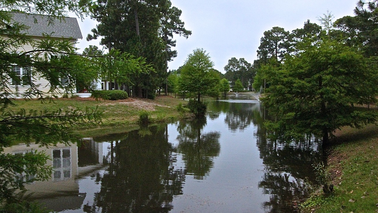 Photo of Others in Laurel Grove