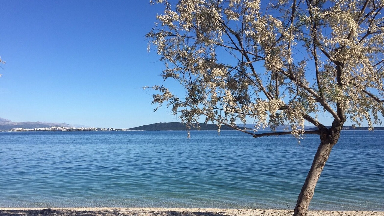 Photo of Others in Kastela