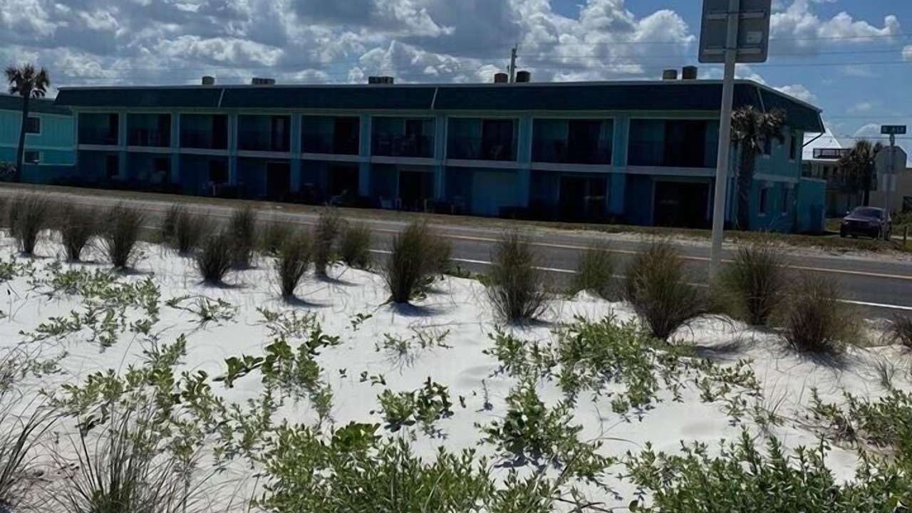 Photo of Outdoor in Flagler Beach