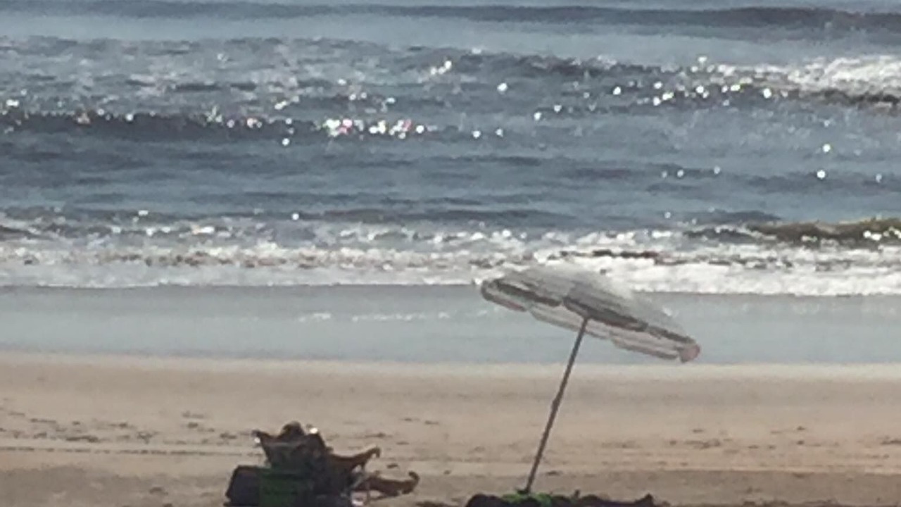 Photo of Others in Flagler Beach