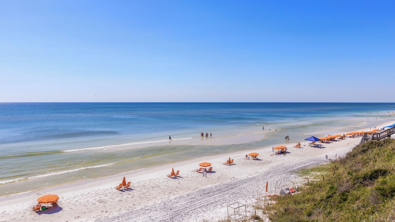 Photo of Others in White's Gulfview