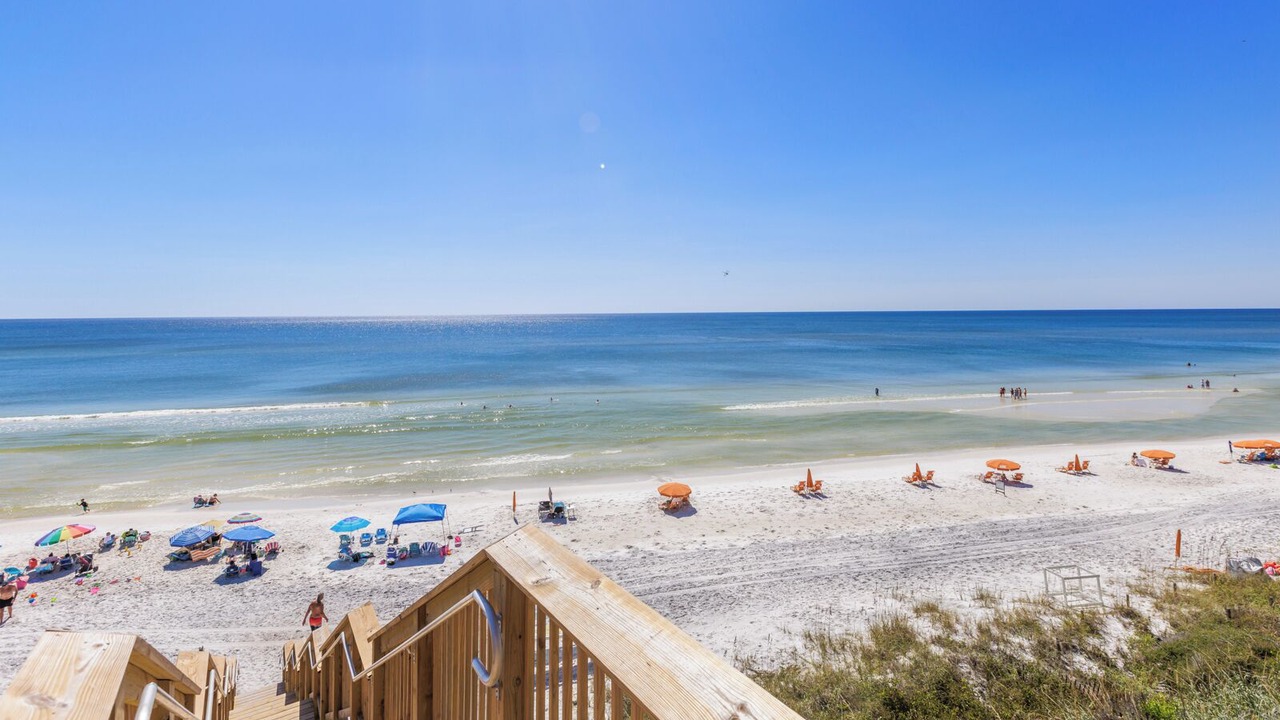 Photo of Others in White's Gulfview