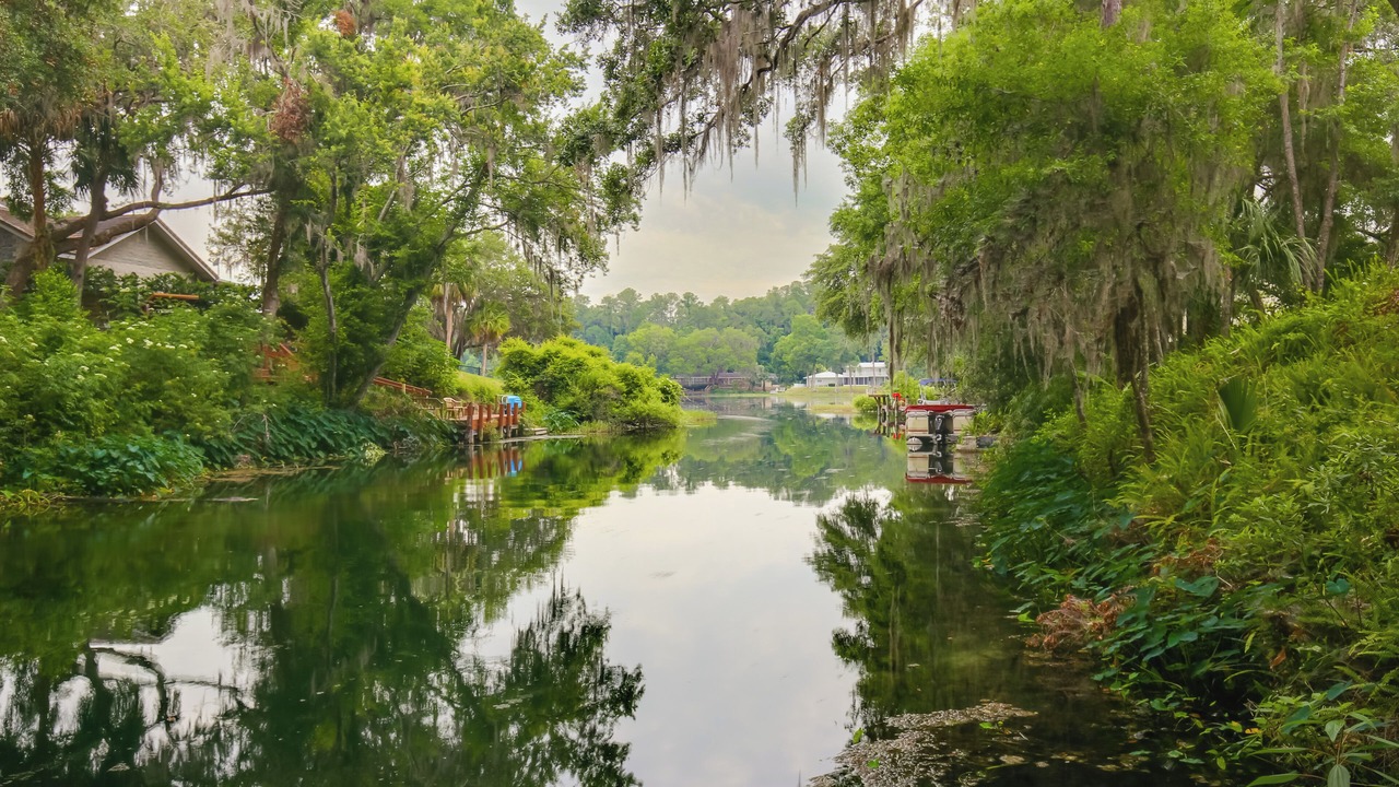 Photo of Others in Dunnellon