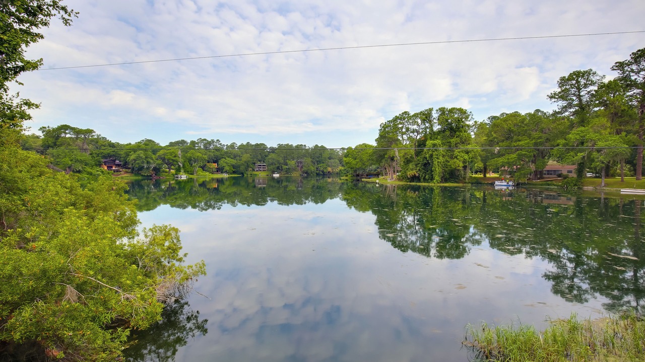 Photo of Others in Dunnellon