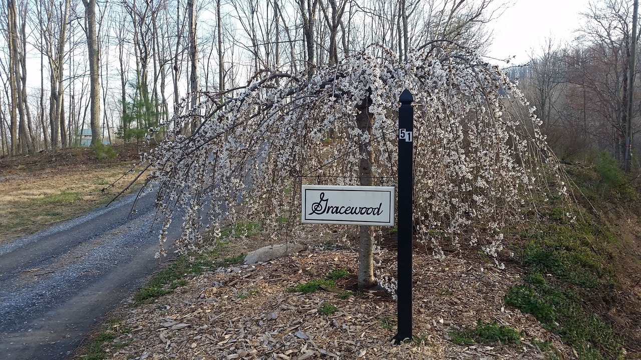 Photo of Others in Afton