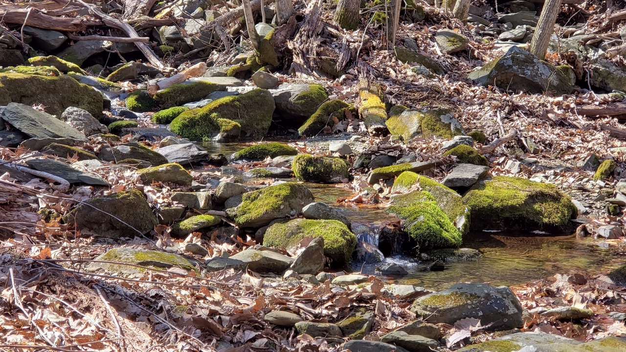 Photo of Others in Afton
