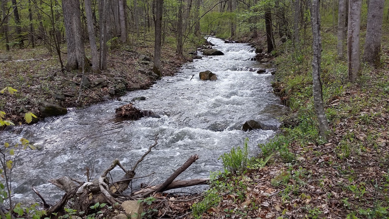 Photo of Others in Afton