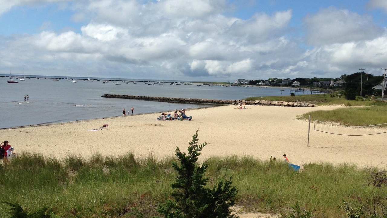 Photo of Others in Hyannis