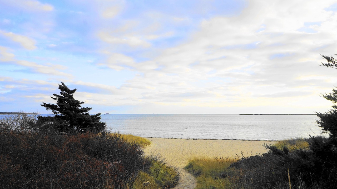 Photo of Others in Hyannis